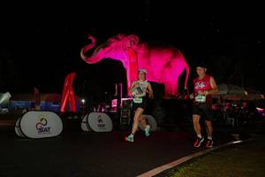 BIB: 
                            <button type="button" onclick="openModal(26543387)" class="btn btn-primary btn-sm float-right btn-popup" data-toggle="modal" data-target=".modal-high-quality">
                        <i class="fas fa-shopping-cart"></i> Add to Cart
                    </button>
                                            <button type="button" onclick="isThisMe(26543387, true)" class="btn btn-success btn-sm float-right btn-popup btn-isme hidden" data-toggle="tooltip" data-placement="bottom" title="นี่คือรูปของคุณใช่ไหม คลิกที่นี่เพื่อเอาเข้าอัลบั้ม">
                        <i class="fas fa-plus"></i> Add to album
                    </button>
                    <button type="button" onclick="isThisMe(26543387, false)" class="btn btn-warning btn-sm float-right btn-popup btn-isnotme hidden">
                        <i class="fas fa-ban"></i> Remove from album
                    </button>